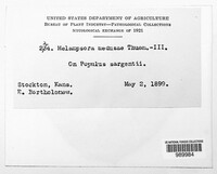 Image Associated With the Occurence